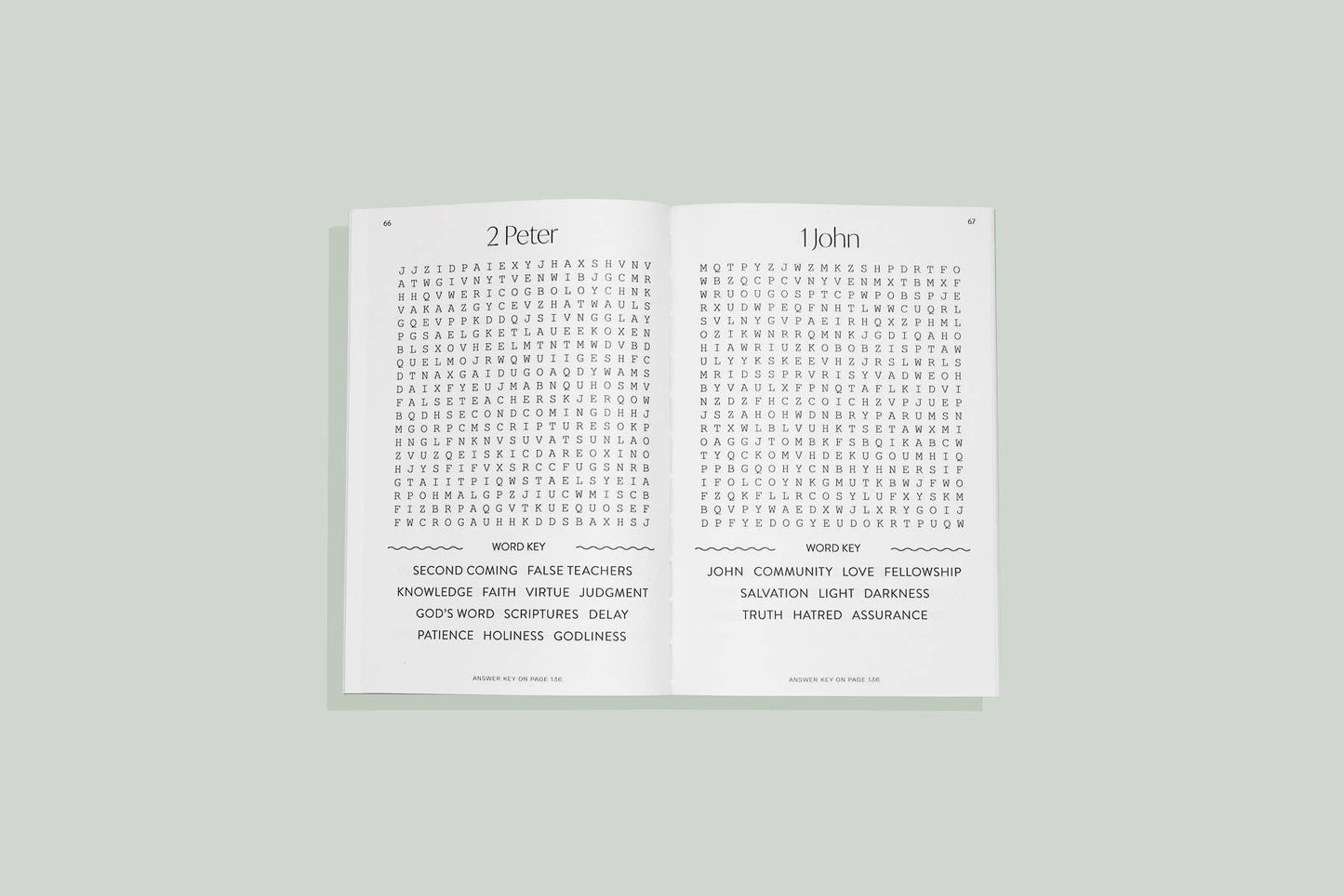 Bible Word Search for Adults (Easter Basket Stuffer)