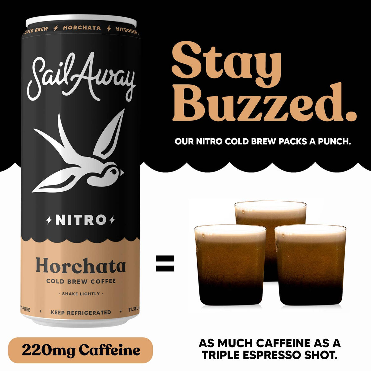 Cold Brew Coffee Cans - Vanilla & Cinnamon: 12