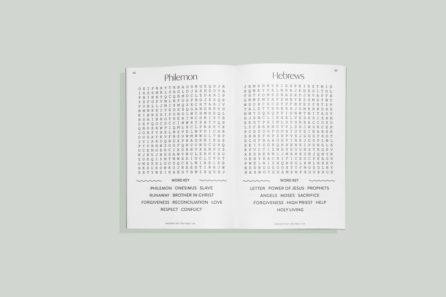 Bible Word Search for Adults (Easter Basket Stuffer)