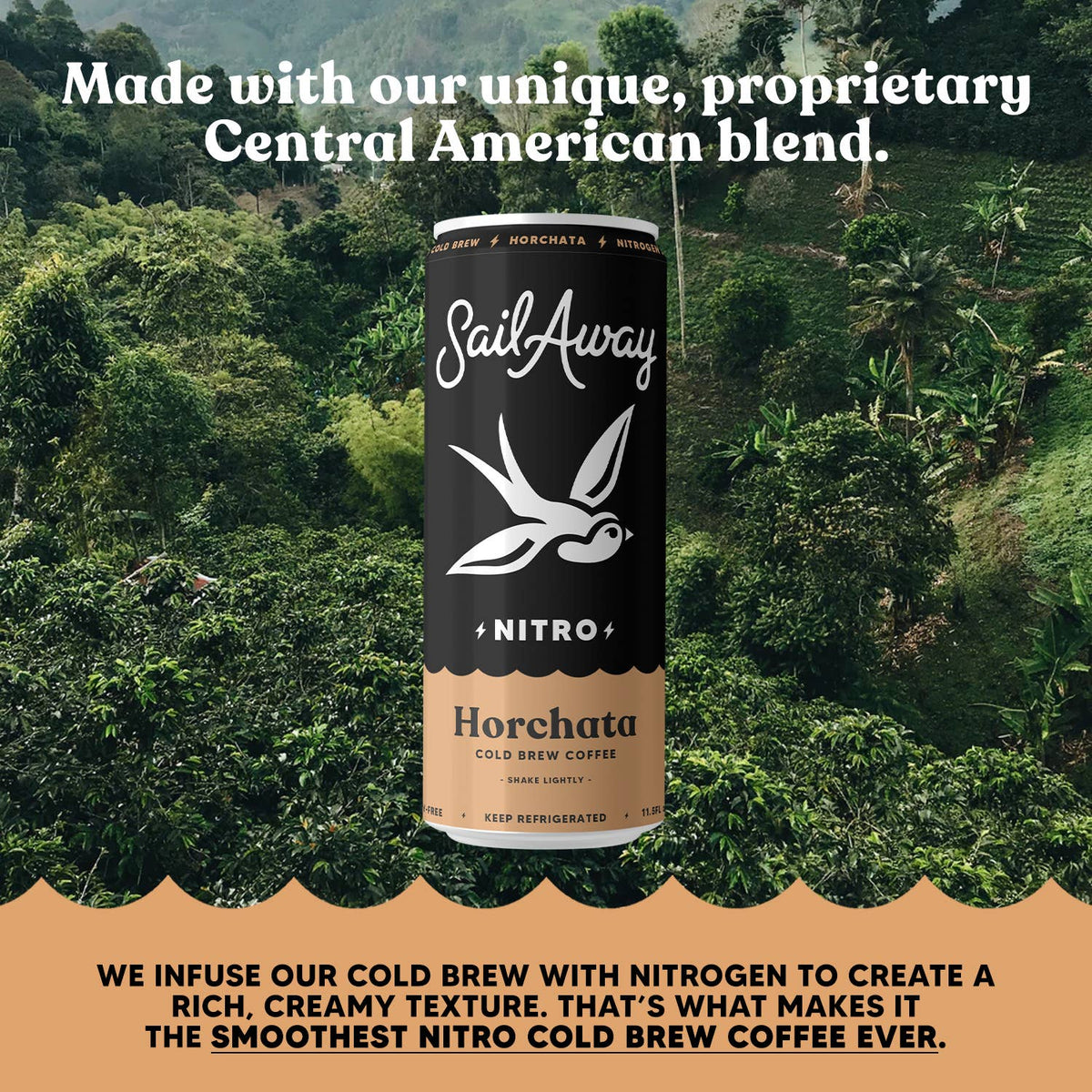 Cold Brew Coffee Cans - Vanilla & Cinnamon: 12